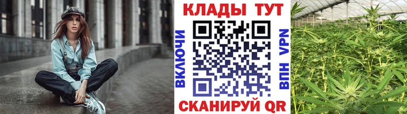 Где можно купить наркотики Сальск ссылка на мегу как войти  A PVP  Меф  ГАШИШ 