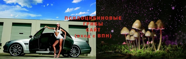 хмурый Абаза