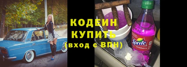 индика Абинск