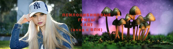 первитин Инта
