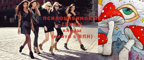 индика Абинск