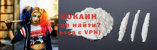 хмурый Абаза