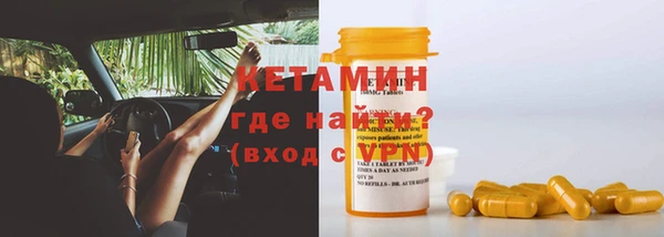 хмурый Абаза