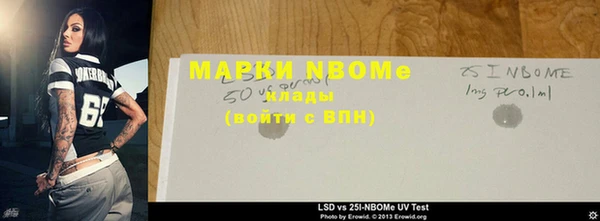 хмурый Абаза