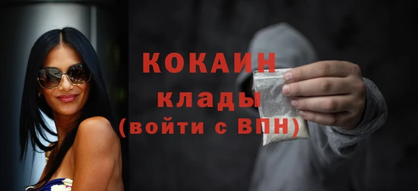 индика Абинск