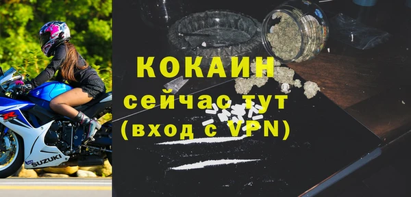 индика Абинск