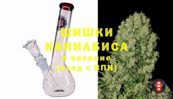 хмурый Абаза