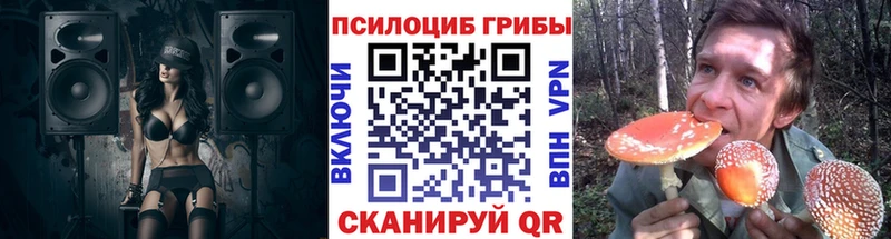 Псилоцибиновые грибы прущие грибы  наркотики  Сальск 